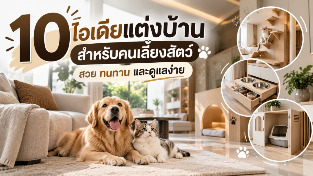 10 ไอเดียแต่งบ้านสำหรับคนเลี้ยงสัตว์ สวยทนทาน และดูแลง่าย