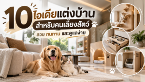 10 ไอเดียแต่งบ้านสำหรับคนเลี้ยงสัตว์ สวยทนทาน และดูแลง่าย